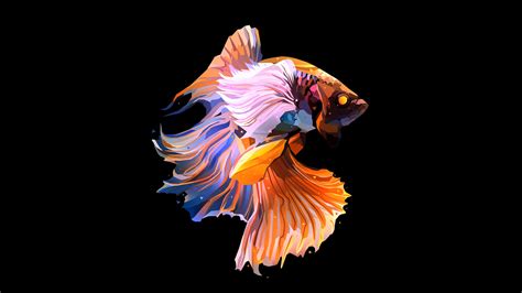 fondos de pantalla oled 4k.